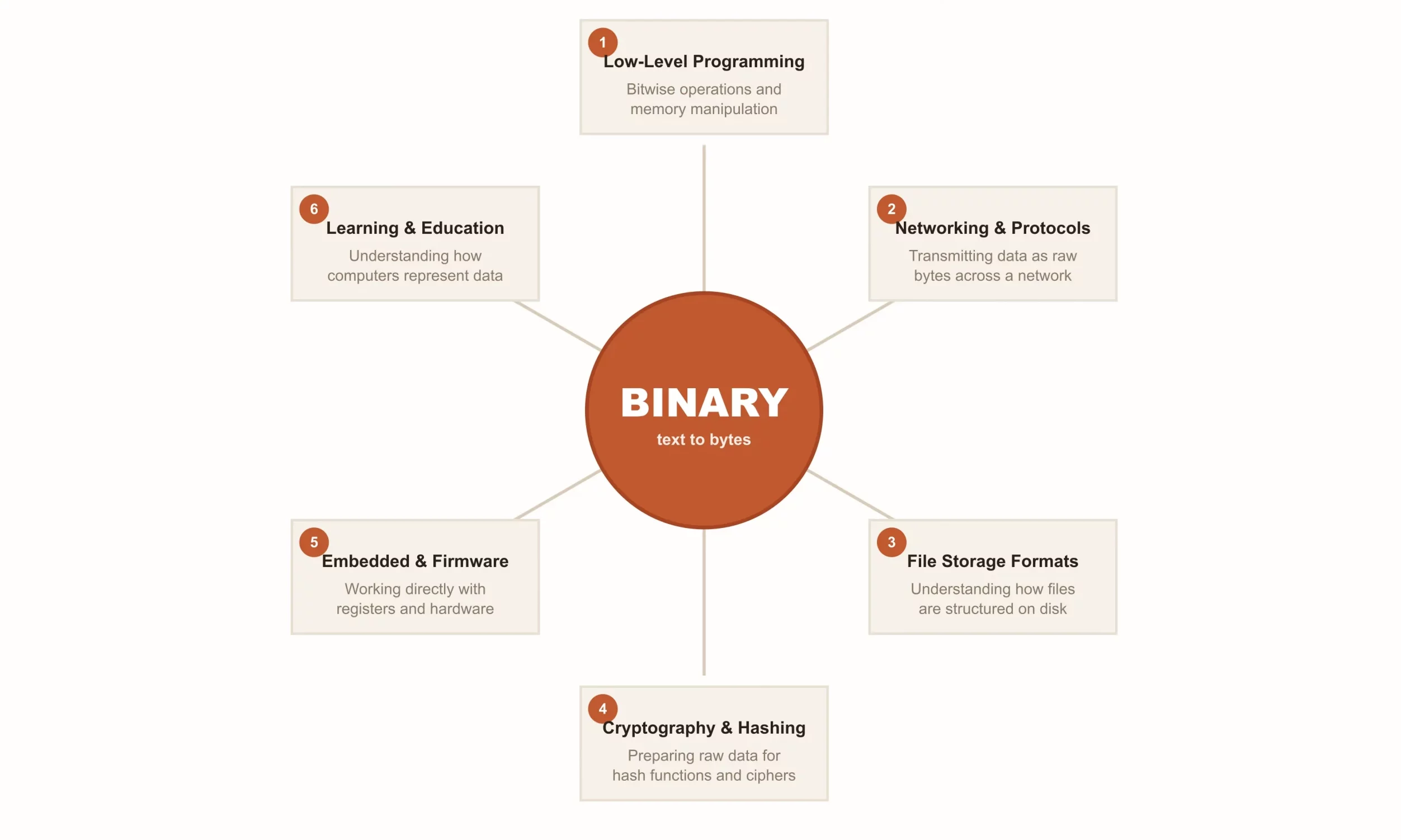 Hub diagram showing six use cases for binary encoding: low-level programming, networking and protocols, file storage formats, cryptography and hashing, embedded and firmware development, and learning and education