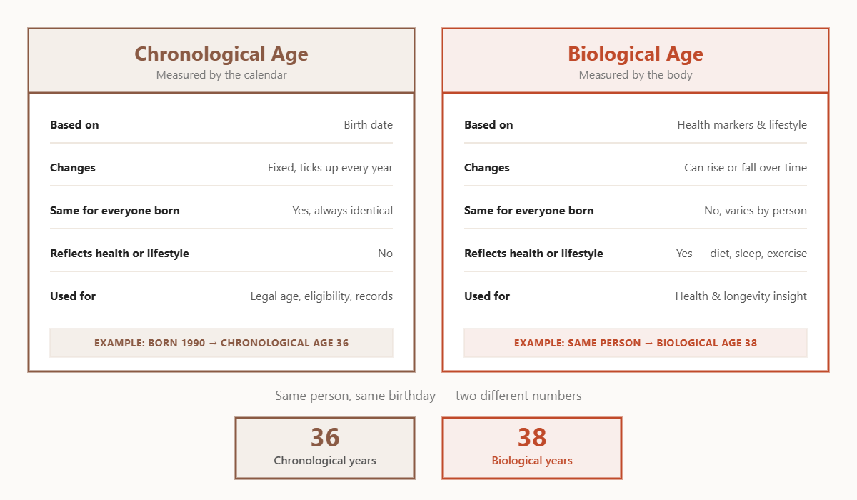 Comparison diagram of chronological age versus biological age, showing chronological age is based on birth date and fixed while biological age is based on health markers and lifestyle and can vary